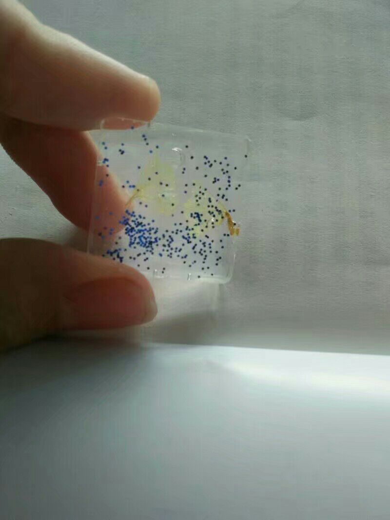 滴胶――诉说星月之梦