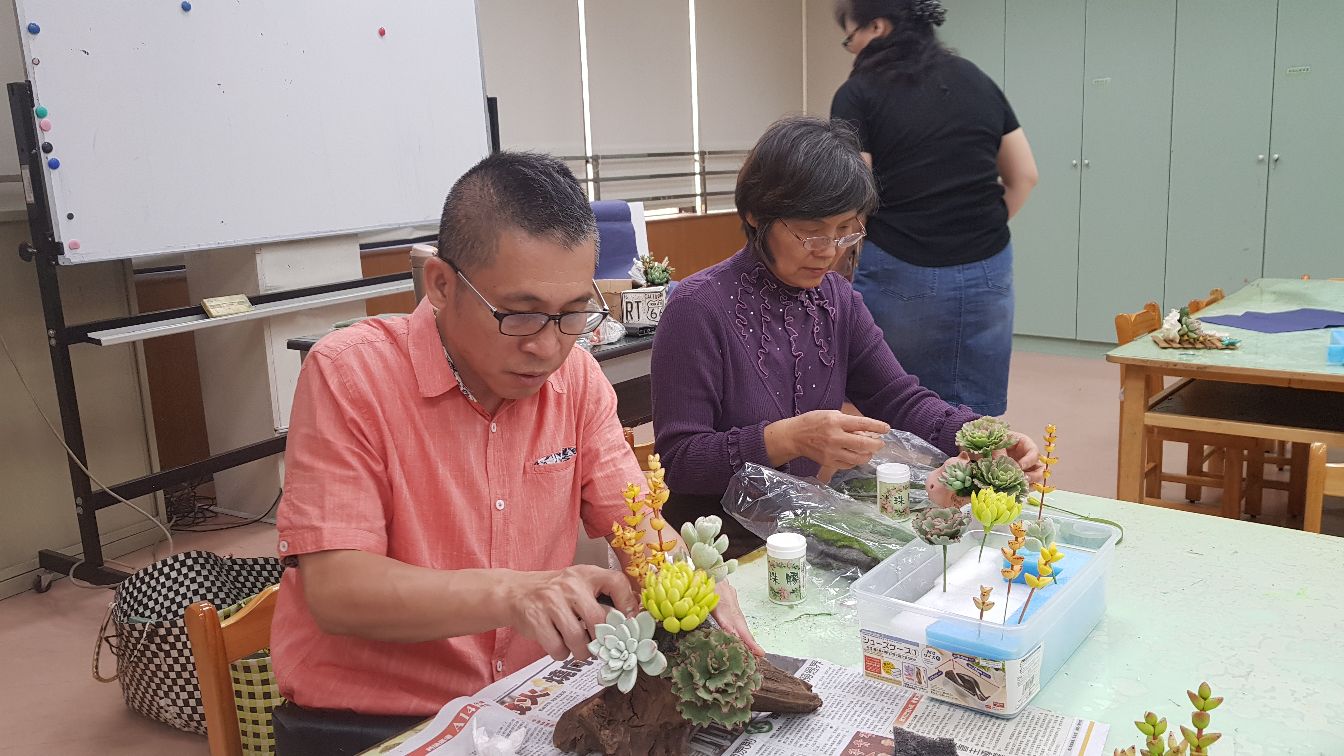 手作粘土多肉植物