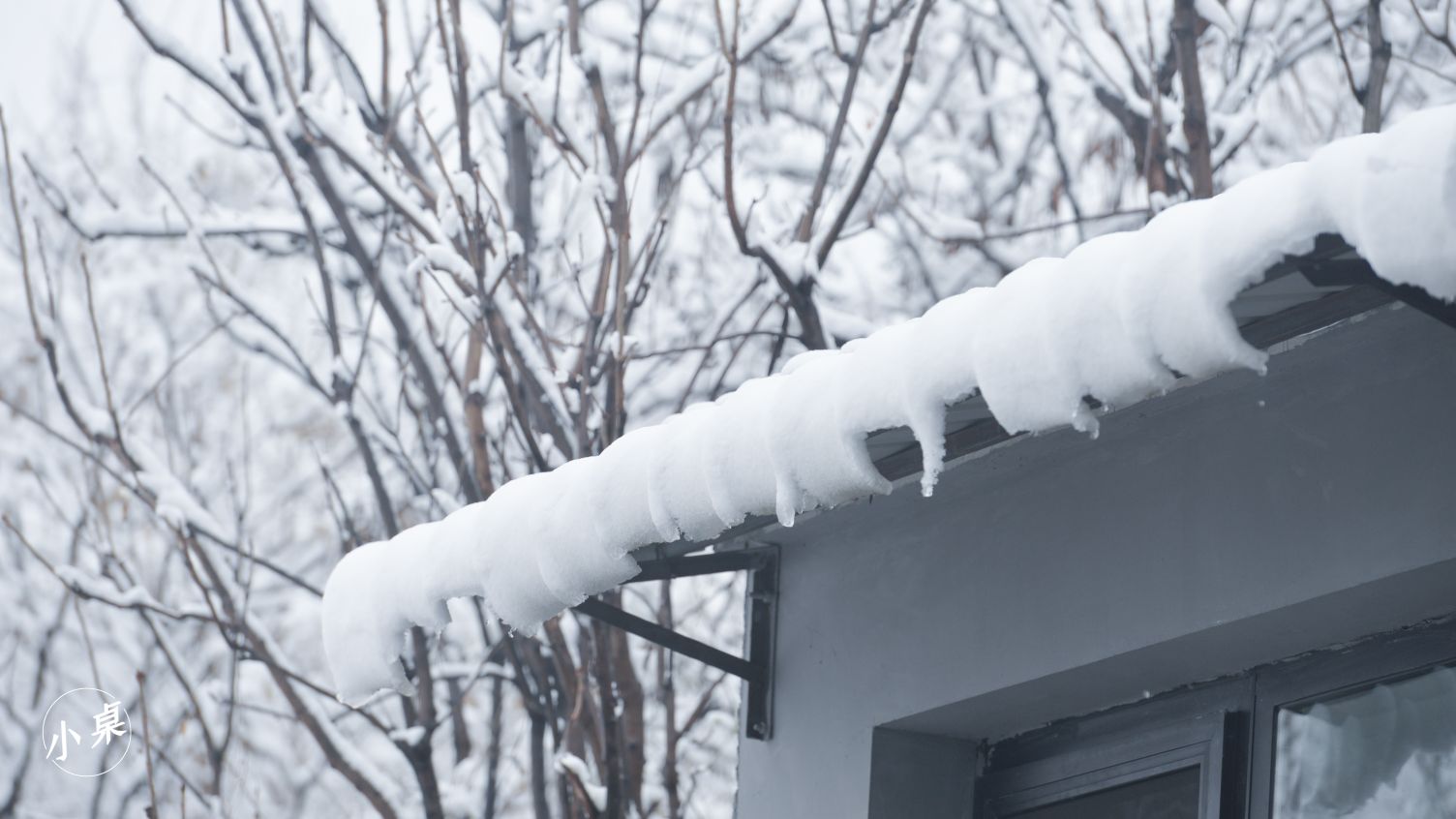 四月的雪