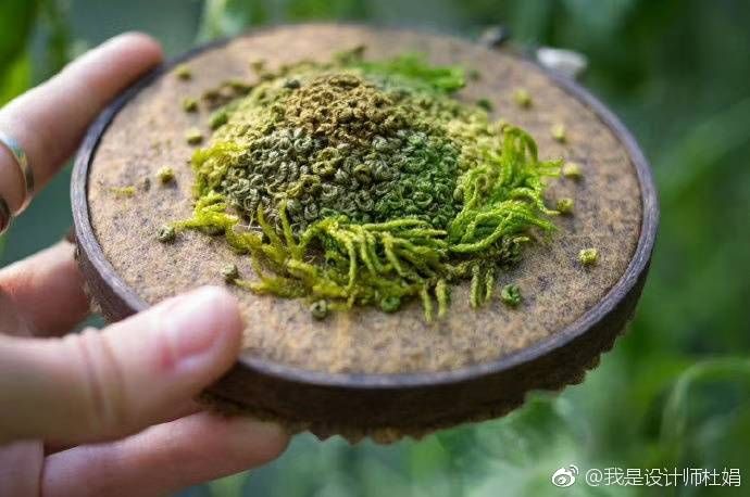 打籽绣 绣出青苔的效果