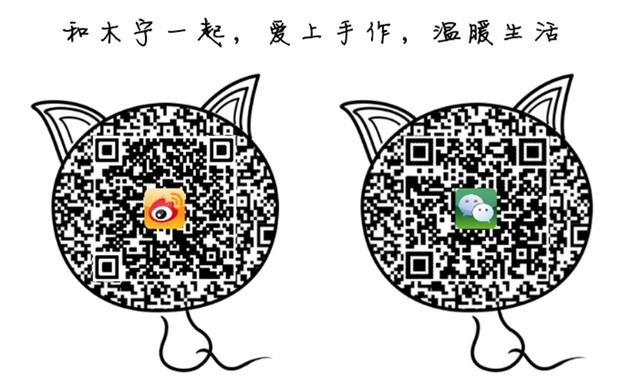 办公室好时光——多肉的新家